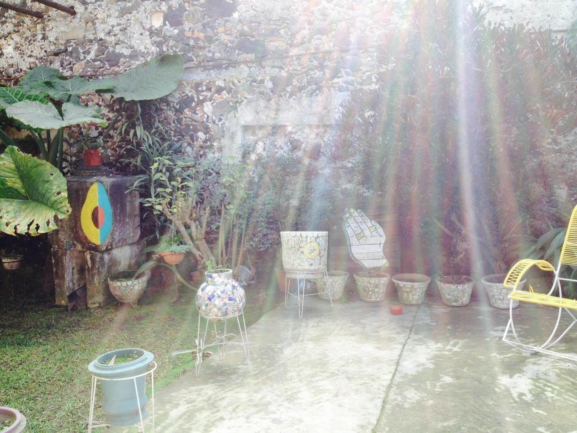 Hostel Catre De Mi Corazon Xalapa Zewnętrze zdjęcie